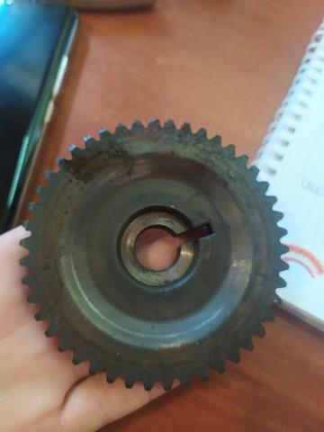 Koło zębatewalcowe wałka rozrządu silnika Nissan/Infiniti 13024CK82A