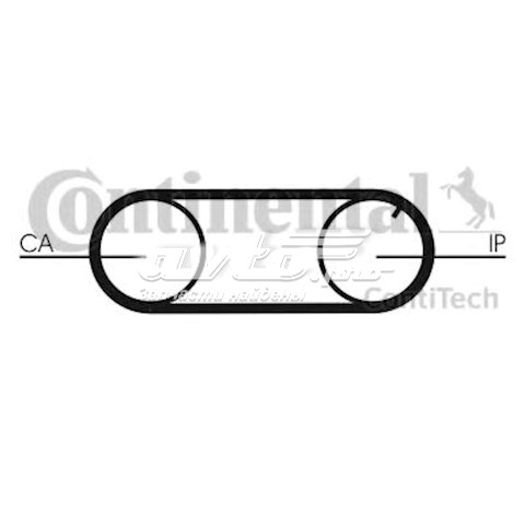 CT641 Continental/Siemens Pasek pompy wtryskowej