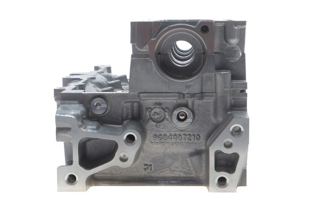 Do koszyka 1682801880 Peugeot/Citroen Głowica cylindrów