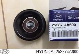 Hyundai/Kia 252874A600