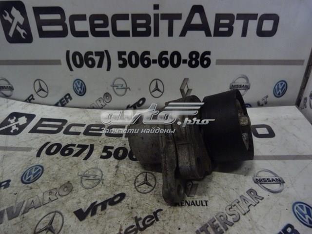 8200941079 Renault (RVI) Napinacz paska napędowego