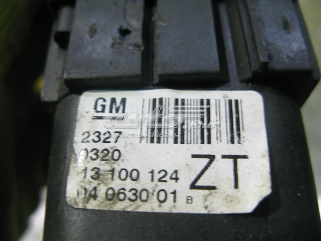 13100124 Opel 