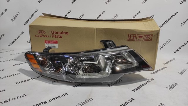 760041J510 Hyundai/Kia Drzwi przednie prawe
