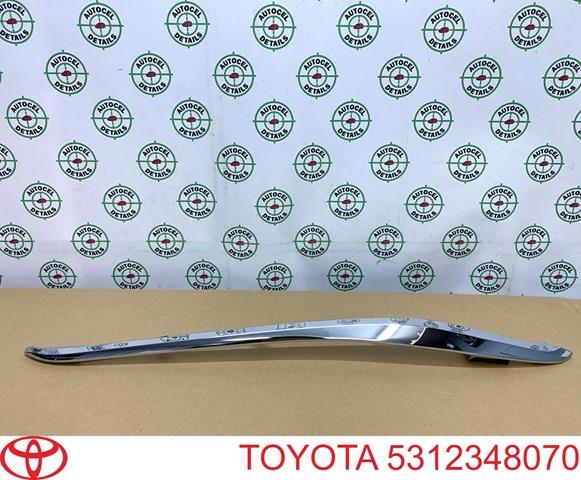 Listwa ochronna atrapy chłodnicy prawa FPS FP7088918 cena, od 56,17 USD