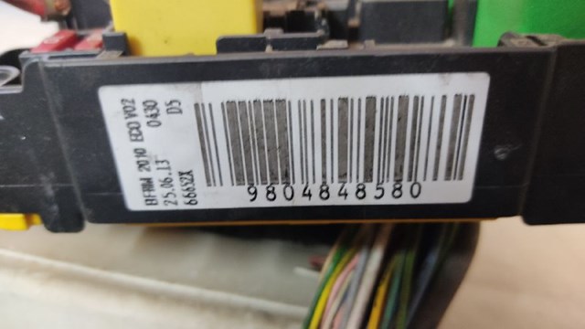 Do koszyka 1613163380 Peugeot/Citroen Skrzynka bezpieczników