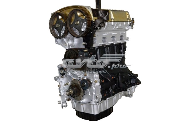 Silnik w komplecie do Hyundai Sonata IV EF