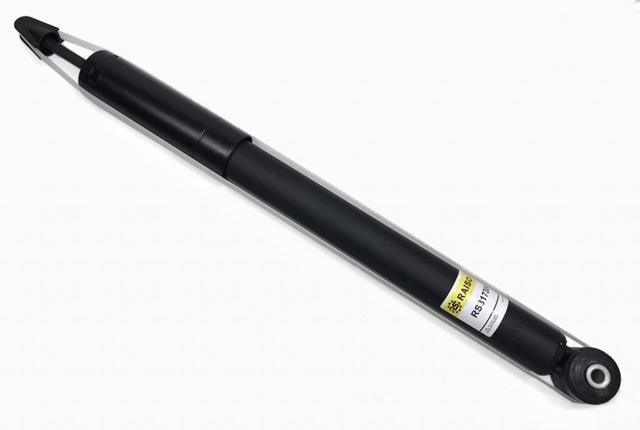 Amortyzator tylny Raiso RS317384 cena, od 39,46 USD