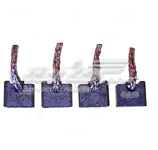 Szczotka rozrusznika BSX1591604 Cargo