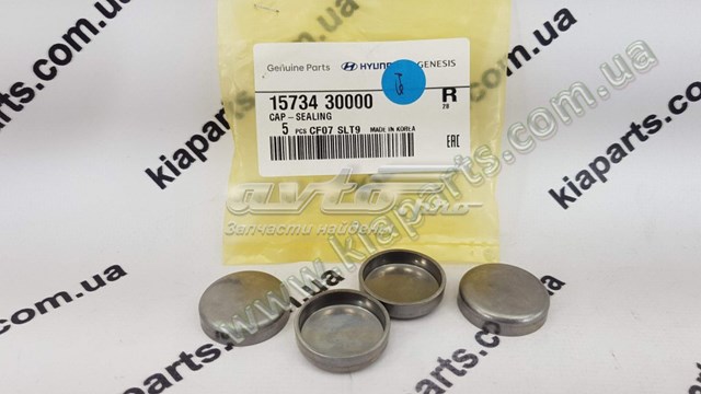 Zaślepka głowicy cylindrów/bloku cylindrów Hyundai/Kia 1573440000 cena, od 3,95 USD