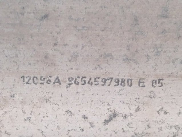 9654597980 Peugeot/Citroen 