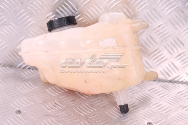 Zbiorniczek wyrównawczy układu chłodzenia Ford DG938A080AD cena, od 46,62 USD