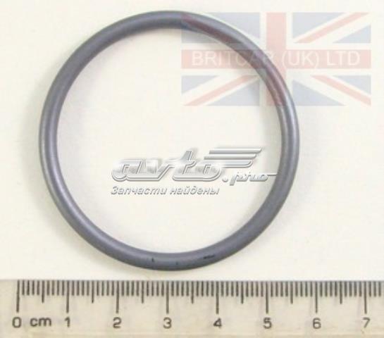 Uszczelka termostatu do Land Rover Range Rover III L322