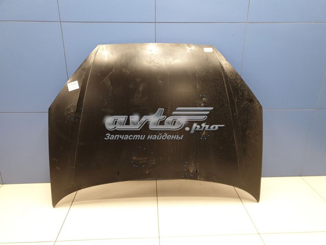 1368555 Ford Maska silnika