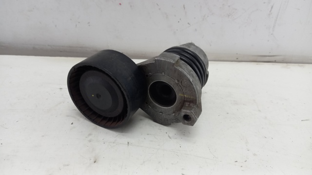 117506193R Renault (RVI) Napinacz paska napędowego