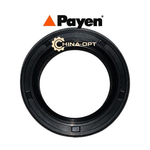 Uszczelniacz automatycznej/mechanicznej skrzyni biegów (wału głównego) Payen NJ612 cena, od 4,99 USD