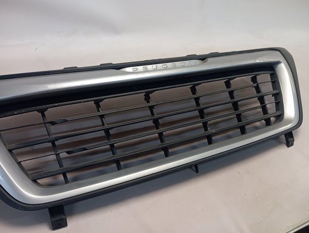 Atrapa chłodnicy Peugeot/Citroen 1612243280