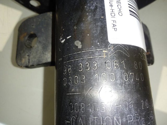 9833306180 Peugeot/Citroen Amortyzator przedni
