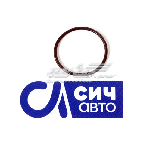 407649900 Victor Reinz Uszczelka kołnierza (trójnika) układu chłodzenia