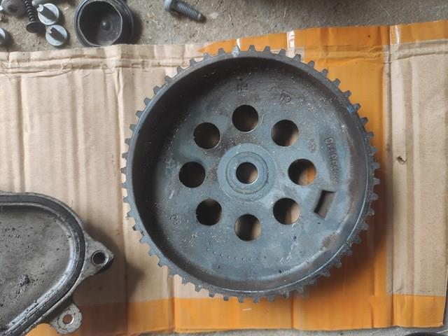 Koło zębatewalcowe wałka rozrządu silnika General Motors 55566013 cena, od 106,46 USD