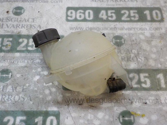 Zbiorniczek wyrównawczy układu chłodzenia Peugeot/Citroen 1323AH