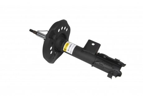 RS316876 Raiso Amortyzator przedni prawy