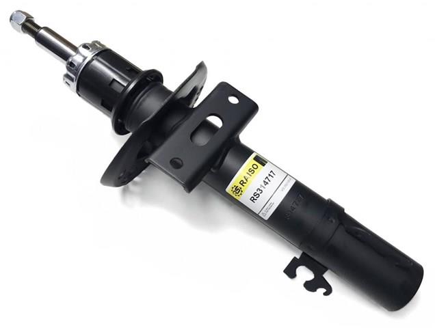 Amortyzator przedni Raiso RS314717 cena, od 51,97 USD