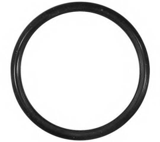 Uszczelka termostatu 1634666020 Toyota