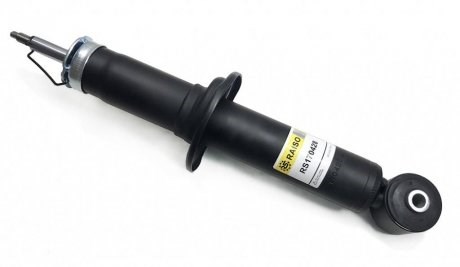 Amortyzator tylny Raiso RS170428 cena, od 45,88 USD