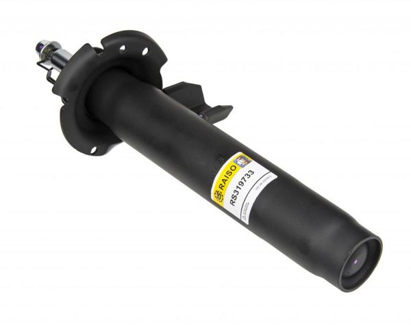 RS319733 Raiso Amortyzator przedni