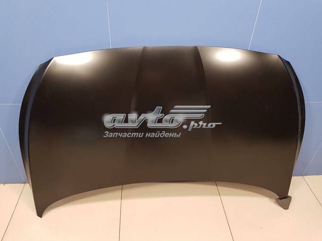 Maska silnika 664001R100 Hyundai/Kia