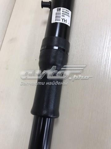 Amortyzator tylny 90496646 General Motors