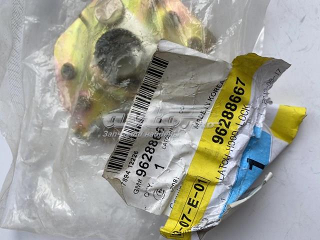 Zamek maski Daewoo Nexia I sedana (KLETN) (1995 - 2002) cena, od 5,44 USD