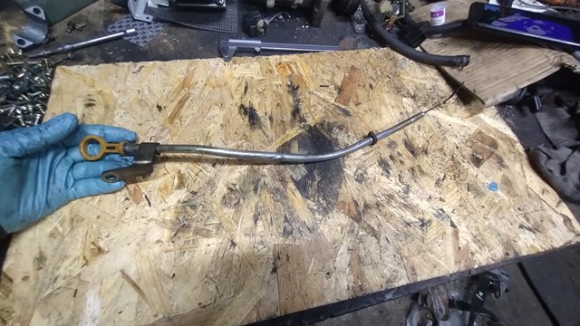  Bagnet poziomu oleju w silniku Nissan Primera 