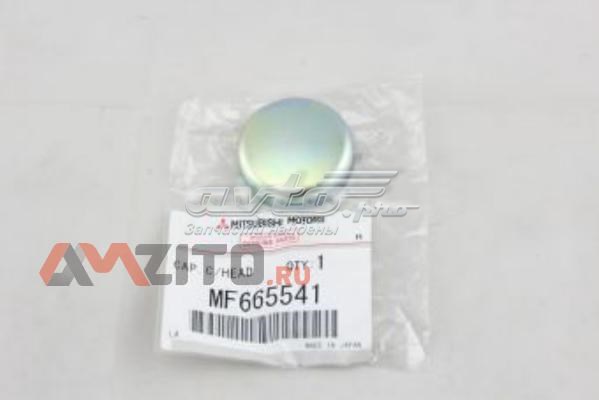 Zaślepka głowicy cylindrów/bloku cylindrów APG APG210039 cena, od 2,04 USD