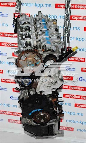 Do koszyka RHRDW10BTED4 Peugeot/Citroen Silnik w komplecie