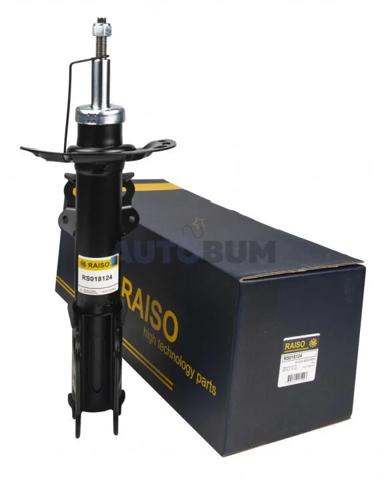 RS018124 Raiso Amortyzator przedni