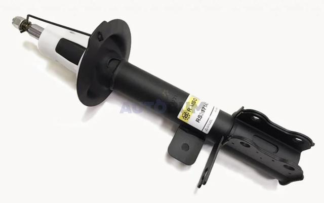 Amortyzator tylny prawy RS317140 Raiso