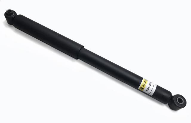 Amortyzator tylny Raiso RS112370 cena, od 82,92 USD