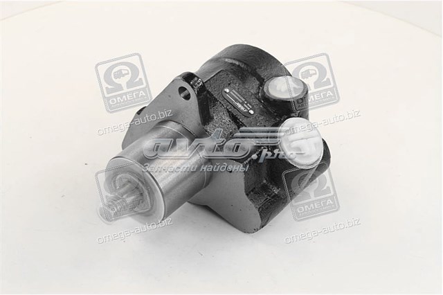 Pompa wspomagania hydraulicznego kierownicy RD252723110103 Rider