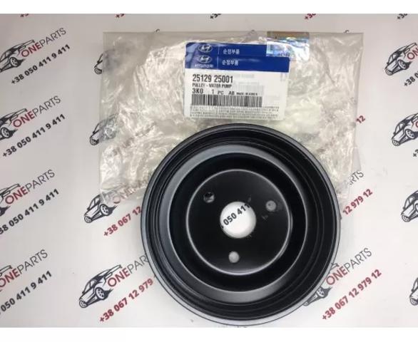 Koło pasowe pompy wodnej Hyundai Sonata V sedana (NF) (2007 - 2010) cena, od 14,10 USD