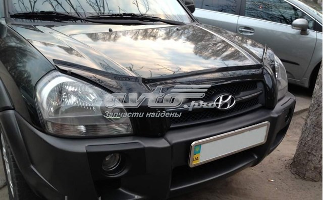 Deflektor na maskę Hyundai Tucson III SUV (TL) (2015 - 2023) cena, od 46,13 USD