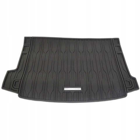  Land Rover VPLZS0493