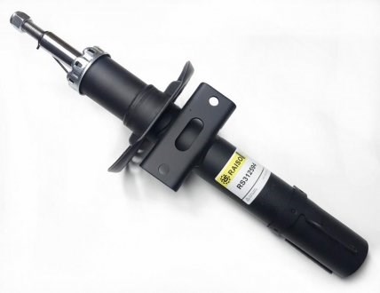RS312594 Raiso Amortyzator przedni