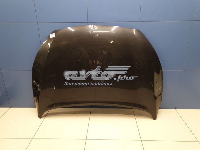 Maska silnika 66400C5000 Hyundai/Kia