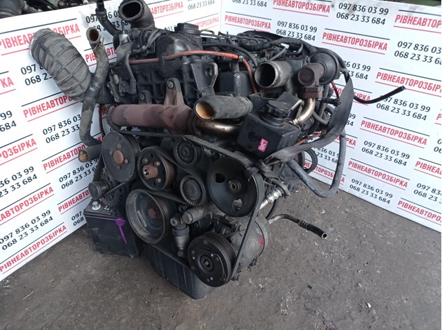 Do koszyka Silnik w komplecie SsangYong Kyron  