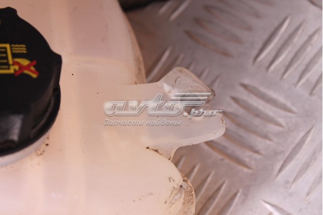 DG938A080AD Ford Zbiorniczek wyrównawczy układu chłodzenia
