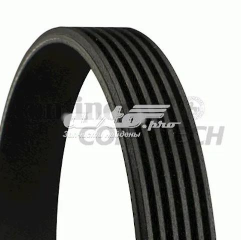 Pas napędowy mechanizmów Continental/Siemens 6PK1244 cena, od 14,22 USD