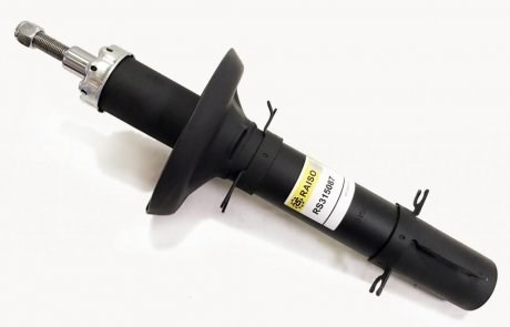 Amortyzator przedni Raiso RS315087 cena, od 53,41 USD