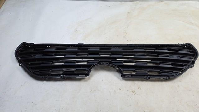 Atrapa chłodnicy PTY99607AK Signeda