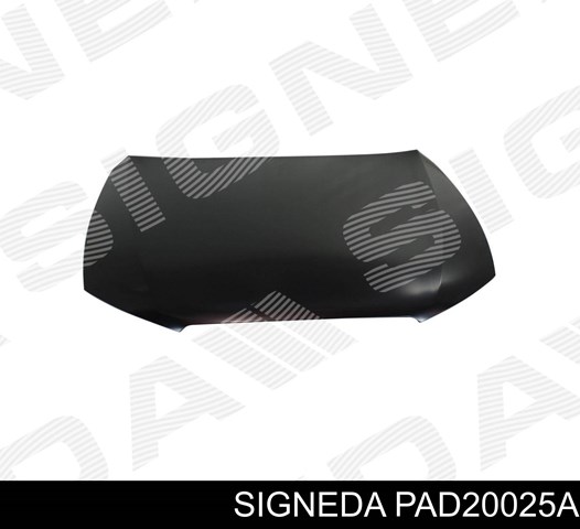 PAD20025A Signeda Maska silnika